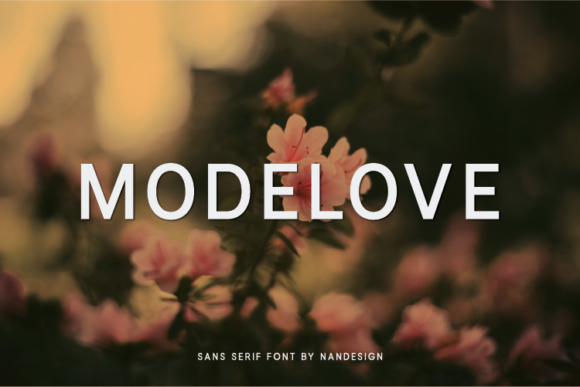 Modelove Font: A Sweet and Modern Typeface for Polished Branding