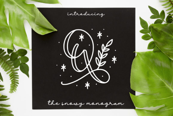 Quinn Monogram: A Premium Decorative Typeface for Memorable Branding