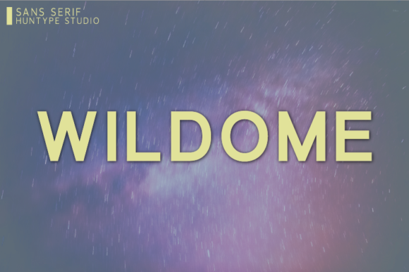 Wildome Font: A Bold Choice for Modern Web Design